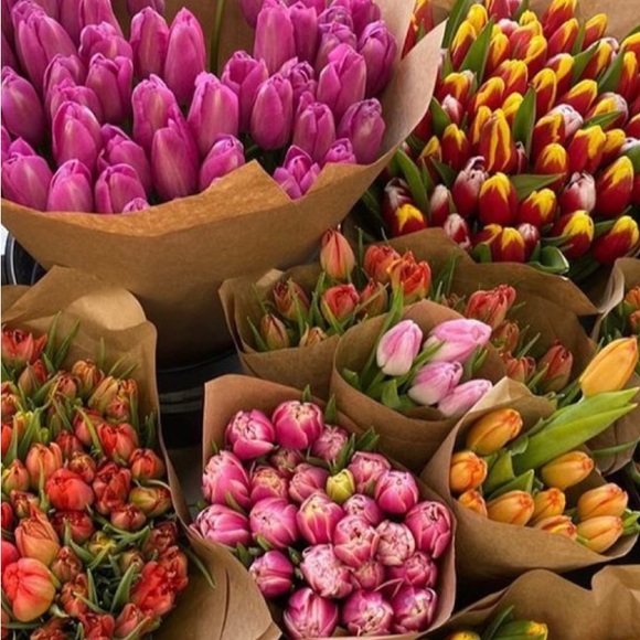 Meet your Posher, Claire - Picture 1 of 1